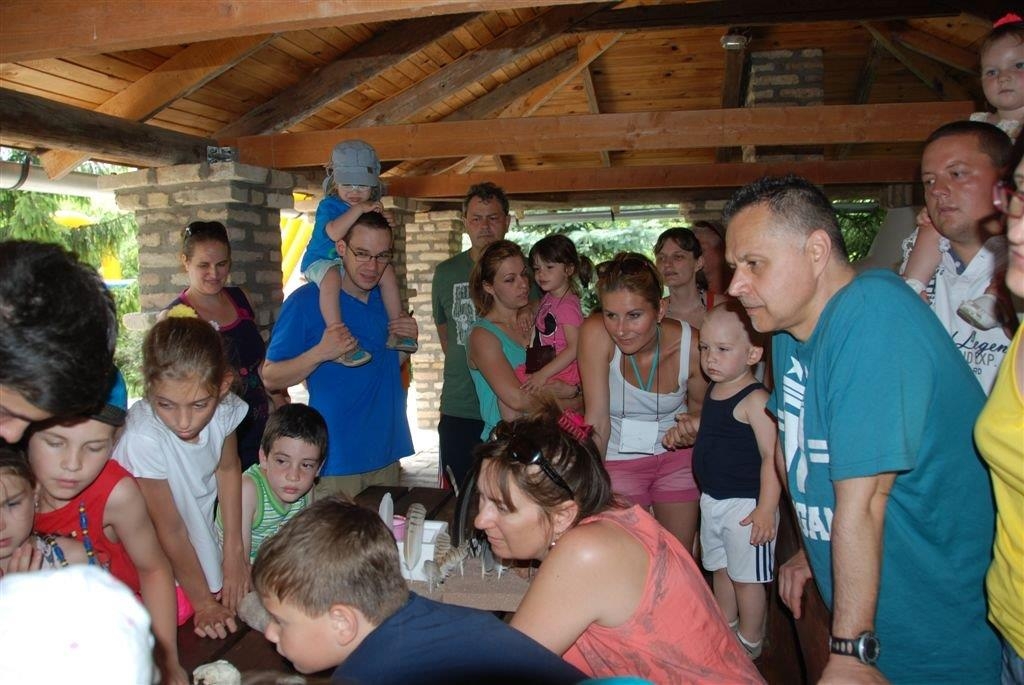 TAGOKNAK NYÚJTOTT SZOLGÁLTATÁSOK 2015.